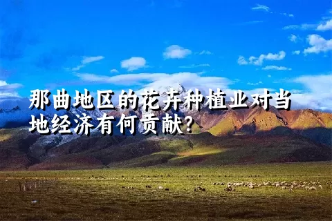 那曲地区的花卉种植业对当地经济有何贡献？