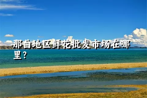 那曲地区鲜花批发市场在哪里？