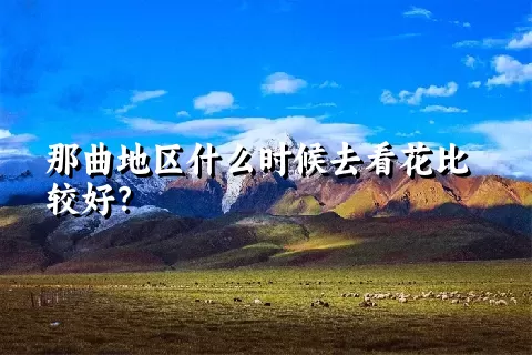 那曲地区什么时候去看花比较好？