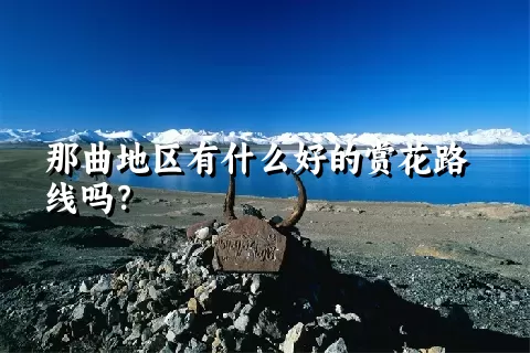 那曲地区有什么好的赏花路线吗？