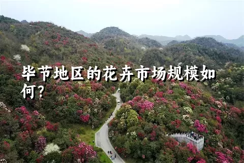 毕节地区的花卉市场规模如何？