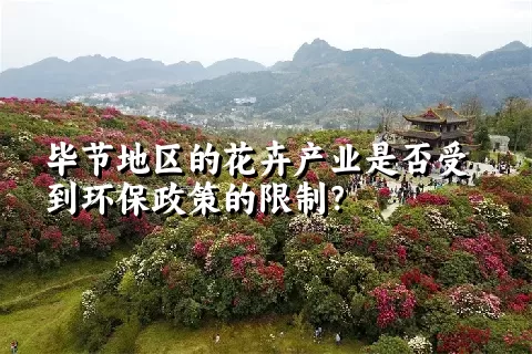 毕节地区的花卉产业是否受到环保政策的限制？