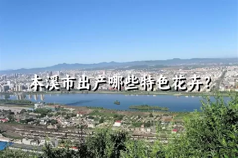 本溪市出产哪些特色花卉？