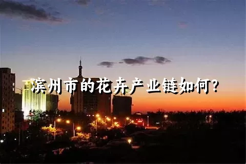 滨州市的花卉产业链如何？