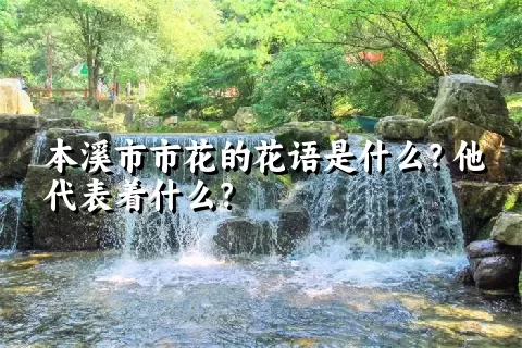 本溪市市花的花语是什么？他代表着什么？