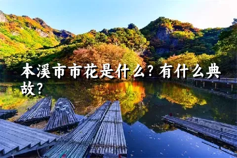 本溪市市花是什么？有什么典故？