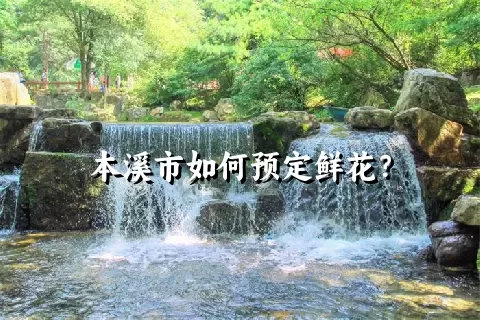 本溪市如何预定鲜花？