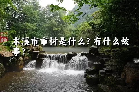 本溪市市树是什么？有什么故事？