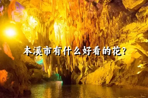 本溪市有什么好看的花？