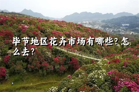 毕节地区花卉市场有哪些？怎么去？