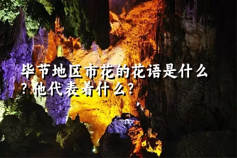 毕节地区市花的花语是什么？他代表着什么？