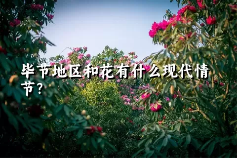 毕节地区和花有什么现代情节？