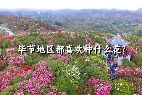 毕节地区都喜欢种什么花？