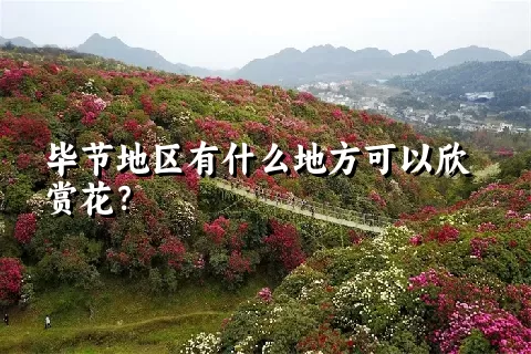 毕节地区有什么地方可以欣赏花？