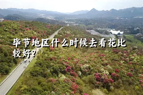 毕节地区什么时候去看花比较好？