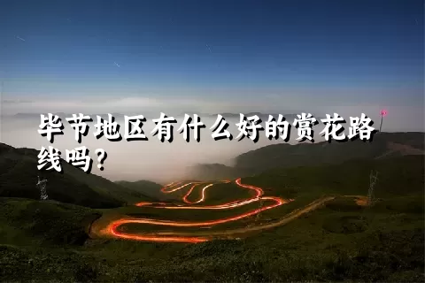 毕节地区有什么好的赏花路线吗？