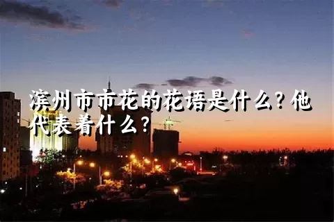 滨州市市花的花语是什么？他代表着什么？