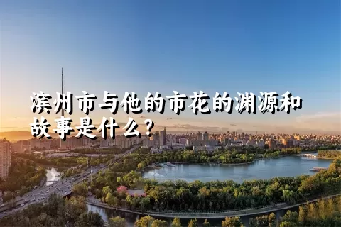 滨州市与他的市花的渊源和故事是什么？