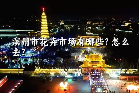 滨州市花卉市场有哪些？怎么去？