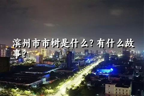 滨州市市树是什么？有什么故事？