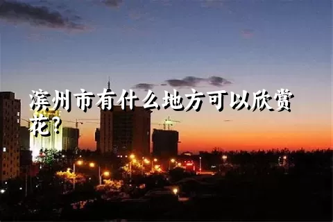 滨州市有什么地方可以欣赏花？