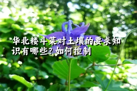 华北耧斗菜对土壤的要求知识有哪些？如何控制