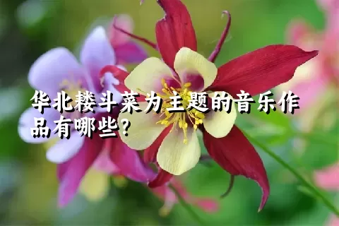 华北耧斗菜为主题的音乐作品有哪些？