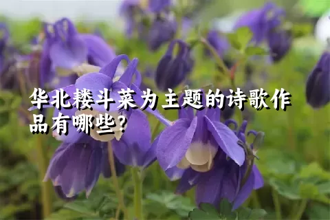 华北耧斗菜为主题的诗歌作品有哪些？