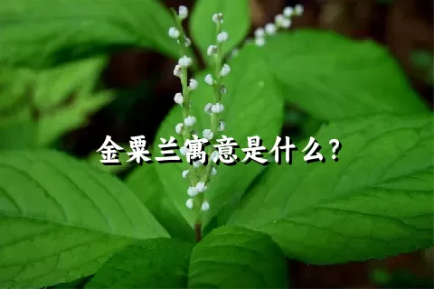 金粟兰寓意是什么？