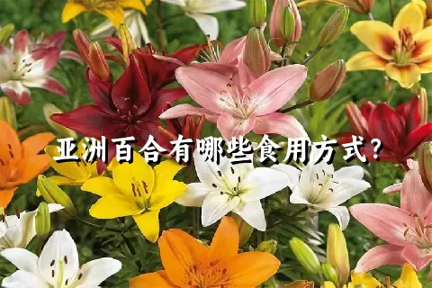 亚洲百合有哪些食用方式？