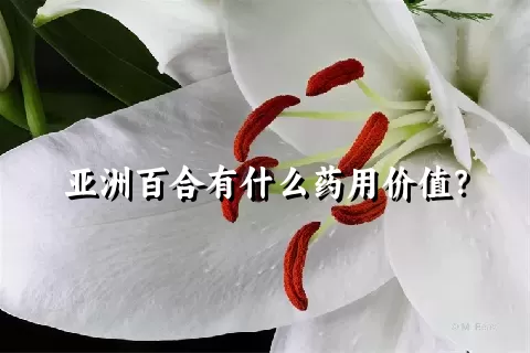 亚洲百合有什么药用价值？