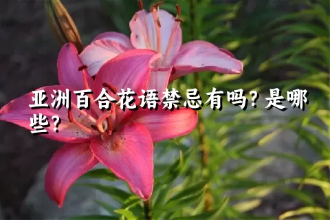 亚洲百合花语禁忌有吗？是哪些？