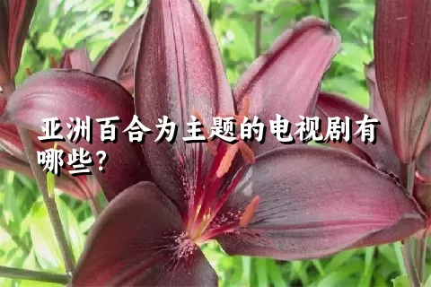 亚洲百合为主题的电视剧有哪些？