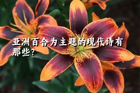 亚洲百合为主题的现代诗有那些？