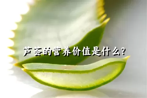 芦荟的营养价值是什么？