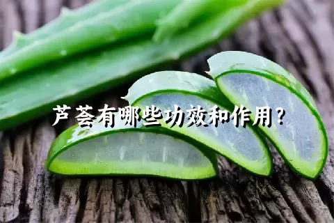 芦荟有哪些功效和作用？