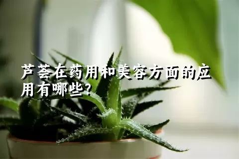 芦荟在药用和美容方面的应用有哪些？