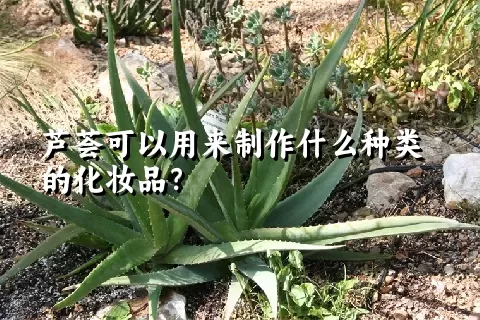 芦荟可以用来制作什么种类的化妆品？