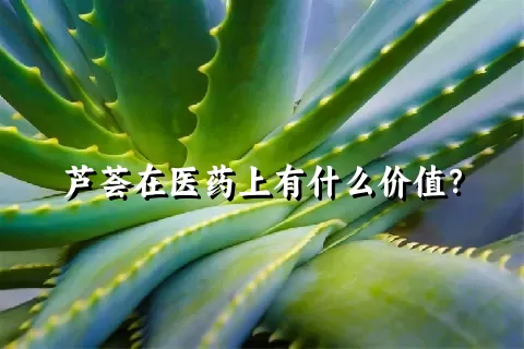 芦荟在医药上有什么价值？