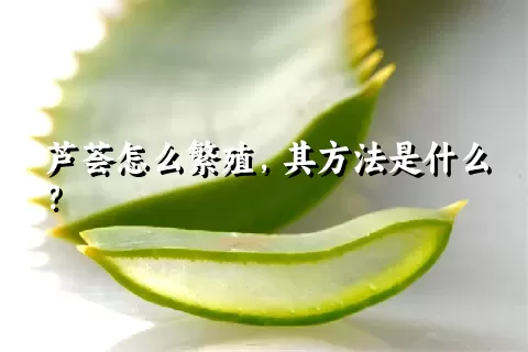 芦荟怎么繁殖，其方法是什么？