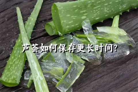 芦荟如何保存更长时间？