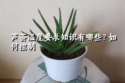 芦荟温度要求知识有哪些？如何控制