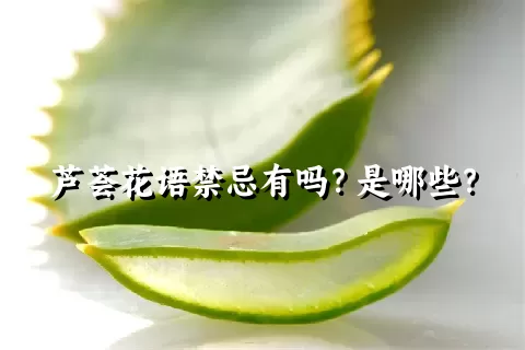 芦荟花语禁忌有吗？是哪些？