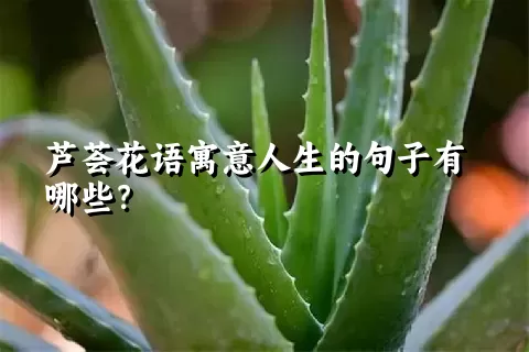 芦荟花语寓意人生的句子有哪些？