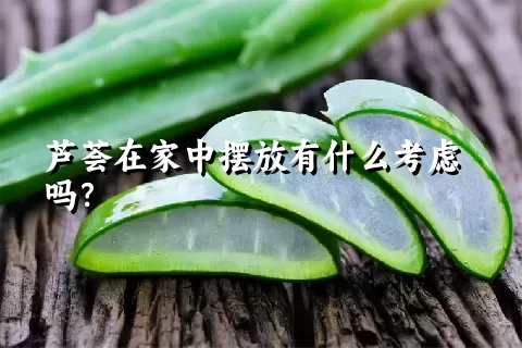 芦荟在家中摆放有什么考虑吗？