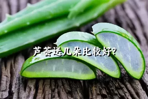 芦荟送几朵比较好？