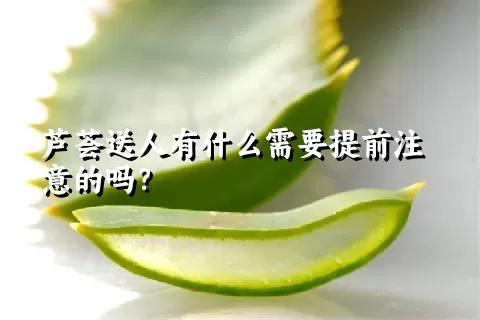 芦荟送人有什么需要提前注意的吗？