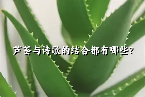 芦荟与诗歌的结合都有哪些？