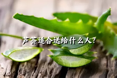 芦荟适合送给什么人？