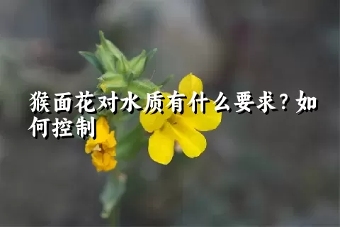 猴面花对水质有什么要求？如何控制